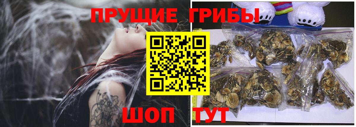 Галлюциногенные грибы мухоморы Партизанск